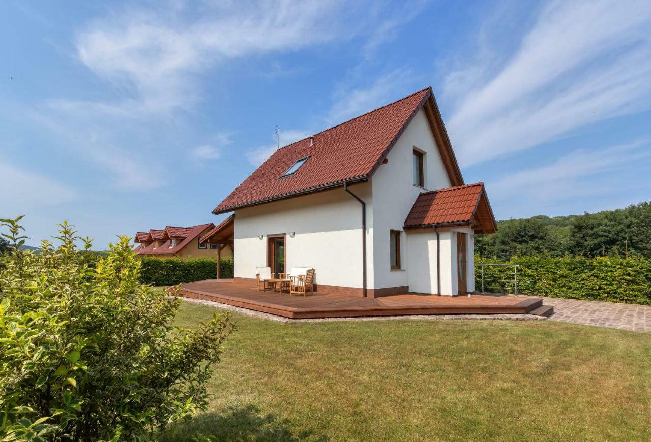 Amber House Villa Wisełka Dış mekan fotoğraf