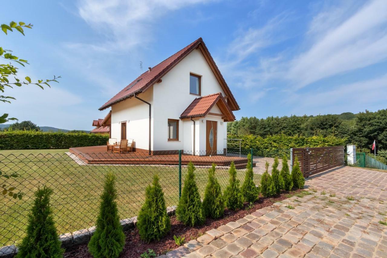 Amber House Villa Wisełka Dış mekan fotoğraf